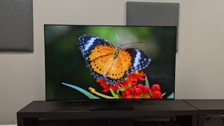 Panasonic Z85A with butterfly on screen